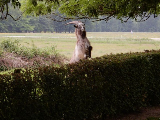 Excursie Kampen en Schokland 19-05-2018 109